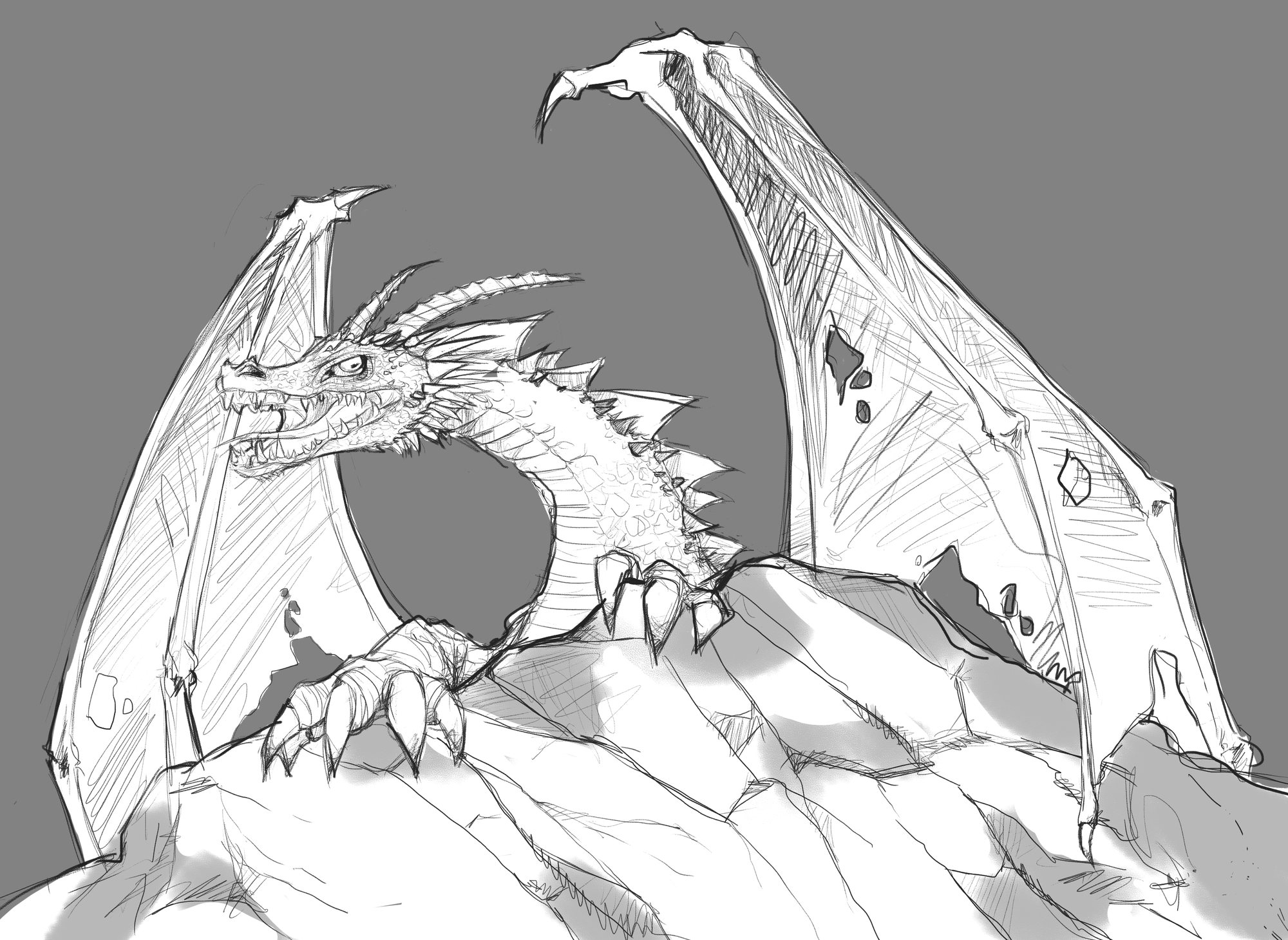 Dragon Study I, by Loren
