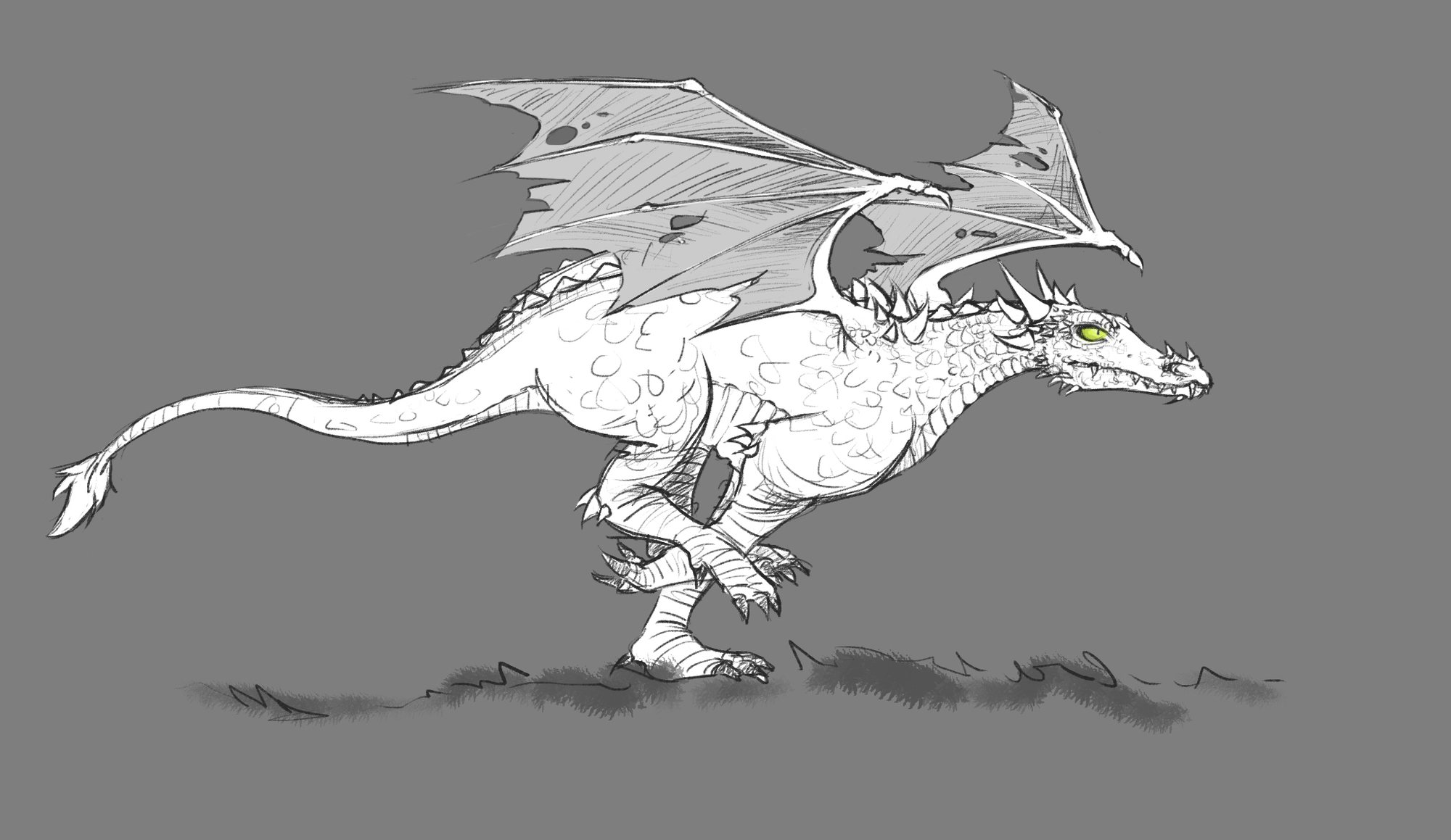 Dragon Study III, by Loren